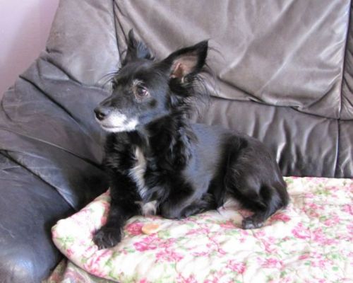 Doświadczenie z EnteroZOO 